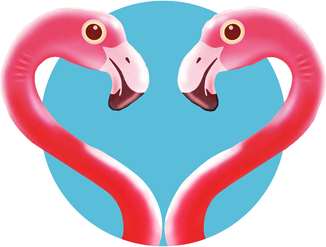 flamingo